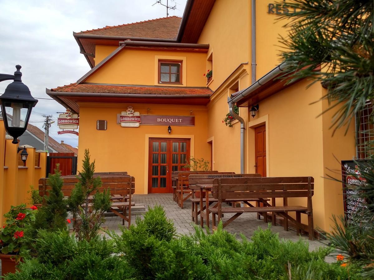Penzion Bouquet Horni Vestonice Exterior photo